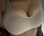 I love showing off my breasts in a bra. Is this a stylish bra? 48(f) from www bangla অপু বির্শ্বাবির্শ্বাস নেংটা বড় বড় দুধংলাindian teen stylish girlভারতীয় aksara star