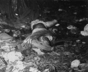 The body of a Japanese soldier killed during the fighting on Guadalcanal (Solomon Islands).01/25/1943 from jessica solomon islands
