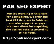 PAK SEO EXPERT: We are working in this field for a long time. We offer the best SEO Services in Pakistan and also support, engage with our client for acquiring the desired results according to his need. https://pakseoexpert.com/ from seo youri