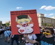 Translation: Instead of Big Chinese University, we want big Chinese fable titties! (it&#39;s a national &#34;meme&#34; to call animes Chinese fables) On a Hungarian protest against the Chinese university in Budapest. from chinese