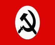Flag of the &#34;National Bolshevik Party&#34;, a now-banned Political Party in Russia. from political party dirty video