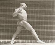 Man in Motion - Early 1900s - gif image - nude - muscular from koyel moulik nude image size 240