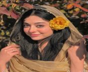 Noor Zafar Khan is the ultimate goddess. She is only available for Hindus. What would Hindus do to her? from noor neelofa gebu
