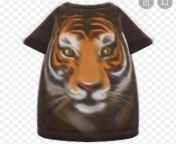 Does anyone want to trade gold nuggets or bells for an oversized tiger tee? I REALLY want one. DM me for dodo code or dm me your dodo code either way Is fine. from dodo moyuri everex randi hall