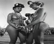 Zulu dancers from zulu dancers shows tribal