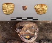 2,000 year oldgolden-tongued mummy discovered in the temple of Taposiris Magna in Egypt.Embalmers perhaps placed the golden tongue in the mummy to ensure that the deceased would be able to speak in the afterlife.[2426x1950] from girls sex vegetable gaand chudai in 3gp mummy
