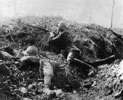 German rifleman beside the corpse of a French soldier in a trench at Fort Vaux during the Battle of Verdun. The fort was part of a ring of 19 large defensive works intended to protect the city of Verdun. The fort was captured by the Germans on 7-June andfrom the corpse of anna tritz full movie