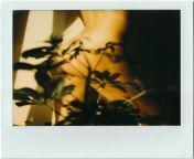 Arina [Polaroid SX-70 film + Polaroid SX-70] from ferry sx