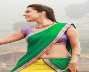 Nisha Agarwal navel in saree from nisha agarwal hot pic 159 jpg