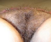 Wild bush on this puffy pussy. from desi puffy pussy indian 18 chut photo