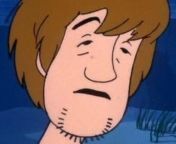 [50/50] Shaggy from Scooby Doo (SFW) &#124; A dead body, stabbed multiple times (NSFW) from cartoon scooby doo fuck