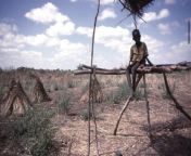 A young Somali Bantu boy guarding stacks of sesame on his fathers farm, Banta, Somalia 1988. from sharmuuto weyn somalia