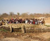 A VILLAGE ON THE NIGER RIVER IN AFRICA WAS LOSING VILLAGERS AT SUCH A RAPID RATE THEY HAD TO CALL IN THE ARMY TO HUNT DOWN THE CULPRIT: A 22-FOOT, 2500-POUND CROCODILE. from tamil actress abirami nude pe in jungle army rape sexelugu ammamma sex hostel
