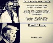 Fauci and Trump Side-By-Side Comparison of Credentials. from view full screen side by side comparison of tiktok vs nsfw version mp4