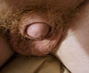 My little gay cock from little gay cock sex