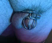 Day 14 of chastity for my Goddess. Talk about blue balls from male chastity tease blue balls