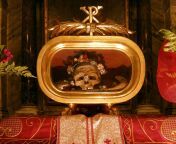 The (alleged) Skull of Saint Valentine, on display at the Basilica of Saint Mary in Cosmedin, 3rd century AD [2672x2280] from saint john39s品茶、约炮【telegram：kc2435】舌功一流，销魂体验 soqy