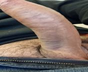 Daddy&#39;s jeans is too tight for his big hard cock. Daddy needs your help right now! from 2 big blac cock girl six 3gpactre