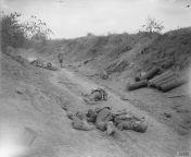 Battle of the Drocourt-Queant Line. Dead German soldiers in sunken road that was strongly held by machine guns but was taken by the 4th Division, near Dury, 2 September 1918. Imperial War Museum image Q7030 from dury marna