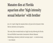&#34;A manatee died from high intensity sex with brother at Florida aquarium&#34; from high xul sex