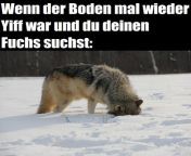 Der Boden ist Yiff. from boden scoohl