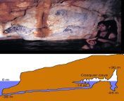 The Cosquer cave is a Palaeolithic decorated cave, located in France, that contains numerous cave drawings dating back as far as 27,000 years BP. The cave has more than 200 parietal figures and is also the only decorated cave whose entrance opens under th from viol cave