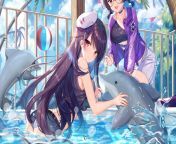 Dolphin Training [Girl Cafe Gun] (3840x2160) from girl sex gun villa