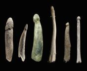 These are all examples of early sex toys, dating back to 12,000 bc. from download sex pics img tag converter pimpandhost ls 17 03 5