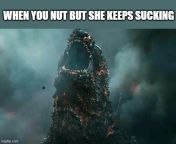 Mothra and Godzilla be like: from godzilla xx mothra