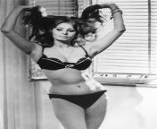 Sophia Loren in Yesterday,Today and Tomorrow (1963) from sophia loren pussy