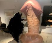 Huge Penis in Amsterdams sex museum from penis in vagina easily sex