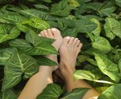 Letting my bare feet get in touch with nature ?? What else should they be touching? ? from iranian bare feet sex