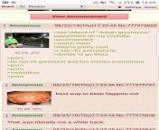 Anon experience 4chan for first time from 4chan babko