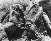 A close-up photo of a deceased Polish Officers hands tied behind his back by the NKVD from before he was murdered in the Katyn Massacre. 1943. from purvi cid officer photo