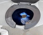 (Warning: Explosive shit ahead!) Im provided a porta potty at work, which only I use. A staff told an employee visiting from a different company to use my porta potty and this is how I found it afterwards. from potty bare