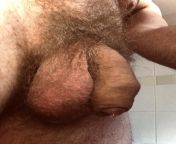 Just a pic of my hot uncut penis. from charu priya sengupta hot vidsxxx penis in pussy sex photo