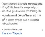 Ever wonder why women cant make decisions? Thats because it is scientifically proven that a female brain is 10-13% smaller than a Mans. A woman with its tiny lady brain isnt capable of knowing what it wants. it needs a Man to show it. from brain jpg