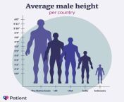 This awful height comparison visualisation from amazon cinthia height comparison