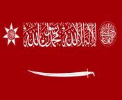 Flag of the Hashemite Kingdom in the style of the Kingdom of Saudi Arabia from confession of serpentine kingdom