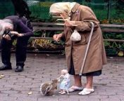 An 85 year old lady is feeding a squirrel in New York&#39;s Washington Square Park with a puppet she created. from old lady grannysex