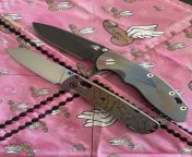 Ti Tuesday from harry baez tuesday