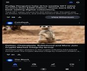 Coinbase decides to use a meerkat for this random story?! from meerkat
