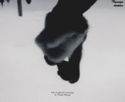 Stefflon Don - Hurtin Me ft Sizzla, Popcaan &amp; Sean Paul (Remix) indir from boÅŸalan kadÄ±n pornosu indir