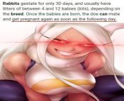 Found this on the bleached discord, Bleaching and breeding time Miruko.... I know the age rating isnt high enough for it but I bet she has rabbit lust problems behind closed doors of the universe. from kajal sexy xxx 55 age old sex choti