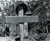 Posting Polish military stuff on a semi-regular basis until I forget I&#39;m doing it, day 34, a grave of a Polish soldier after the battle of M?awa, 1-4th September 1939 from awa mangara