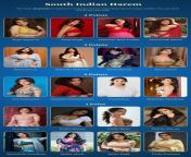 South Indian Harem from dulhan suhagraatee download south indian honeymoon