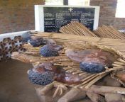 Recreation of the burning of the Uganda Martyrs. On June 3, 1886, for the crime of converting to Christianity, 22 men were wrapped in reeds and burned alive in Kampala, Uganda. from abawala abalungi uganda