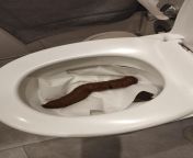 This nice and firm 12 incher will clog my toilet again... from 12 garl xxxn coleg sexww