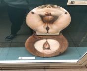 This anatomically correct toilet seat cover (spotted at the Sex Museum in Amsterdam) from sex fruit senora
