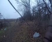 Ukrainian warrior hero leaves trench line to try to rescue fallen brother (who he finds dying), and he is then himself shot and killed (WARNING: this video is raw, heartbreaking, and very difficult to watch) from milk boobs warning pg video mypronwap com